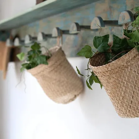 Hacienda Camino De La Cruzada Villa Los Silos