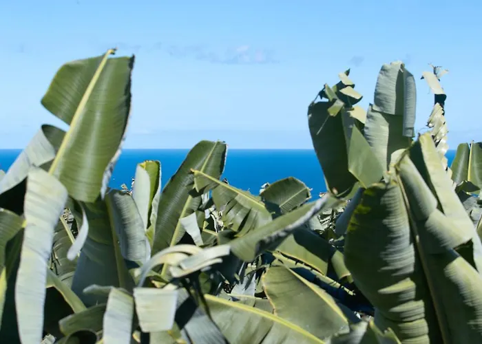 Hacienda Camino De La Cruzada * Los Silos
