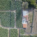 Hacienda Camino De La Cruzada Villa