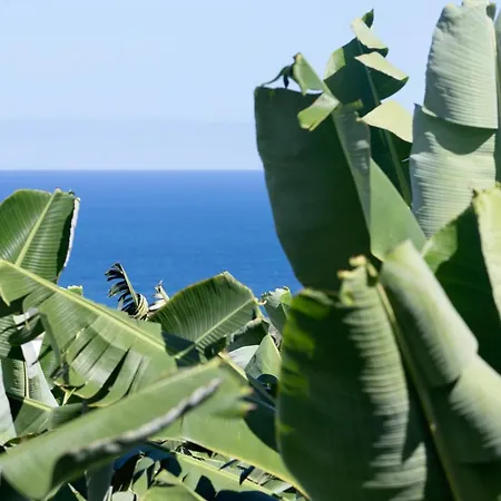 Hacienda Camino De La Cruzada * Los Silos