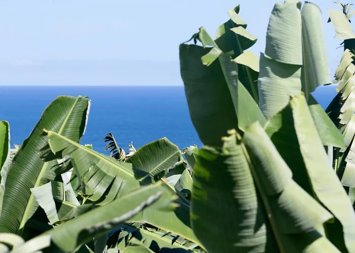 Hacienda Camino De La Cruzada * Лос-Силос